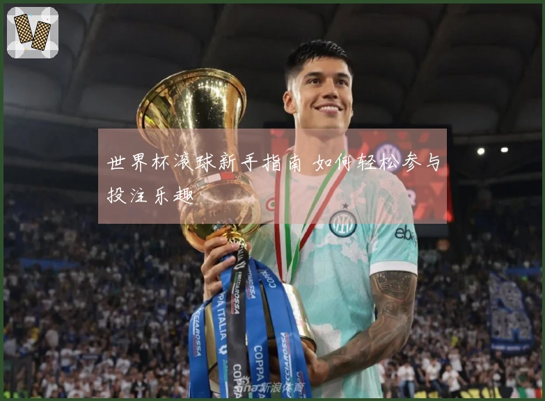 世界杯滚球新手指南 如何轻松参与投注乐趣