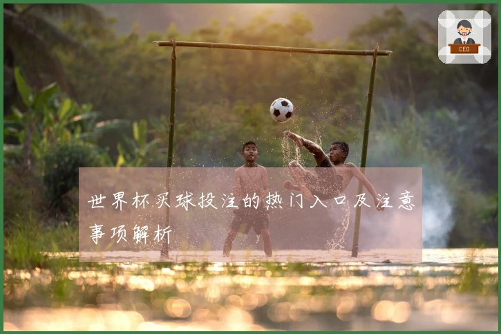 世界杯买球投注的热门入口及注意事项解析