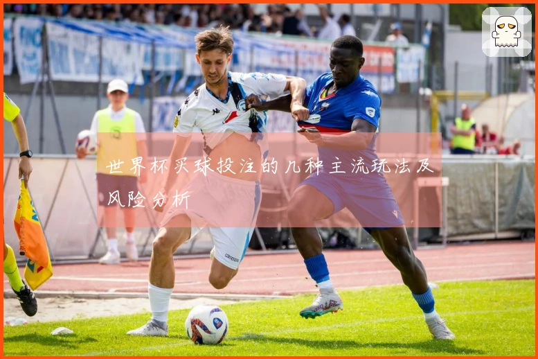 世界杯买球投注的几种主流玩法及风险分析