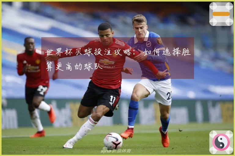 世界杯买球投注攻略：如何选择胜算更高的球队