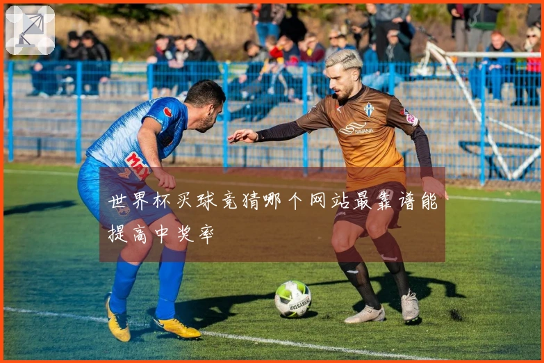 世界杯买球竞猜哪个网站最靠谱能提高中奖率